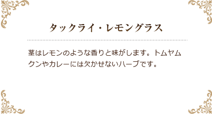 ⑩タックライ・レモングラス